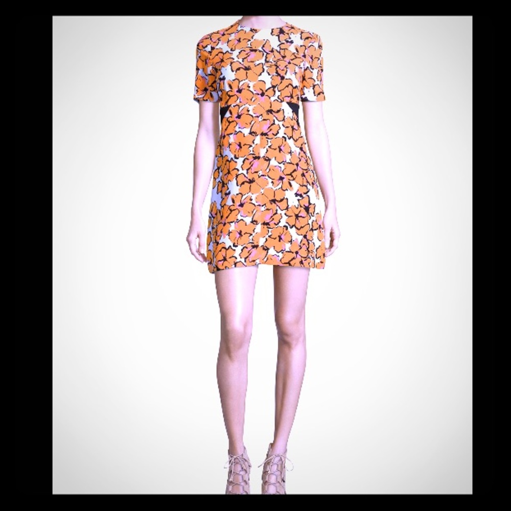 A.L.C Women's Orange Nora Floral-print Silk Dress